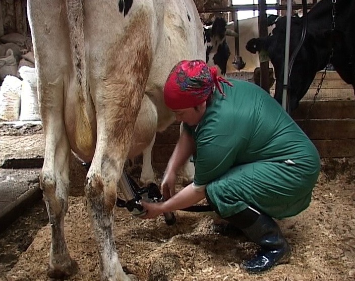 Стабилизация цен на рынке молочной продукции