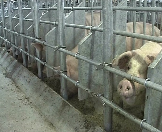 Господдержка фермеров