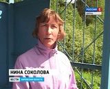 Объявление на остановке