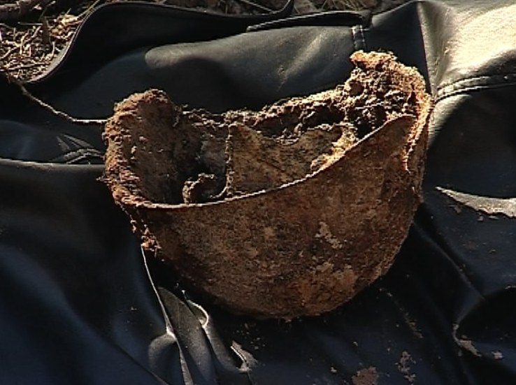 Поиск бойцов