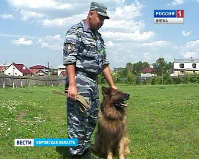 Собака-ищейка