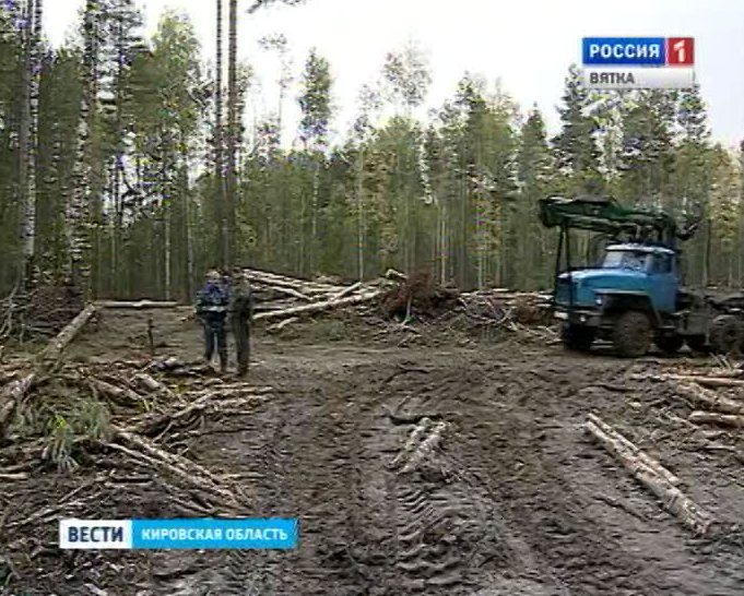 Аренда лесов