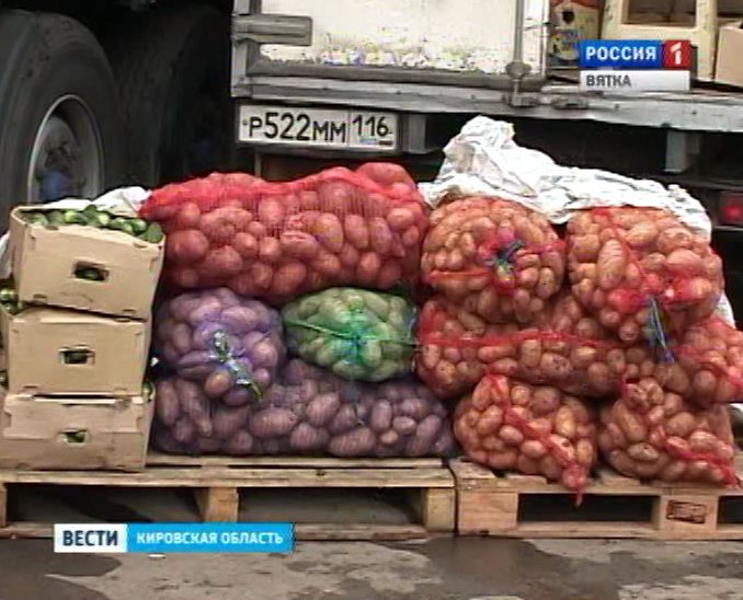 Овощная база