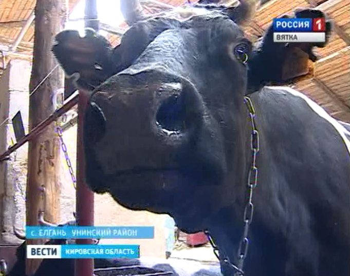 Новая ферма