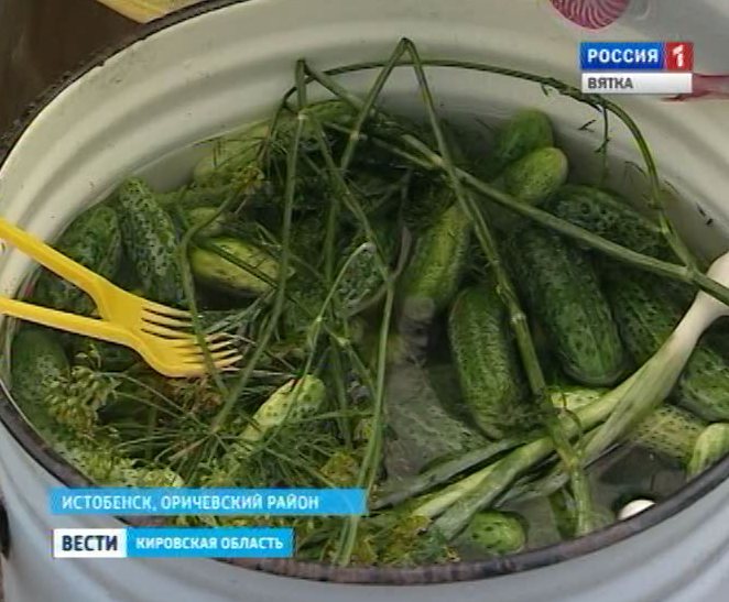 Истобенский огурец