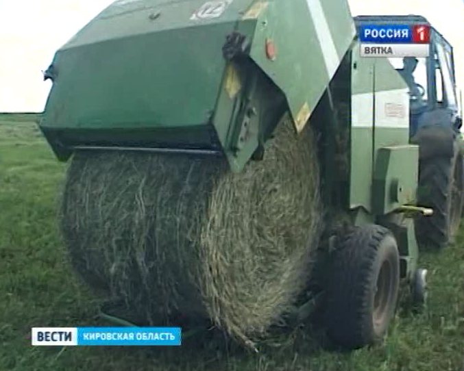 Заготовка кормов