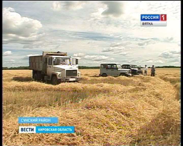 Уборка зерновых