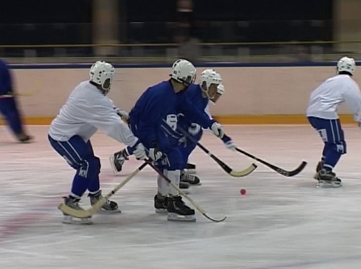 ХК «Родина»