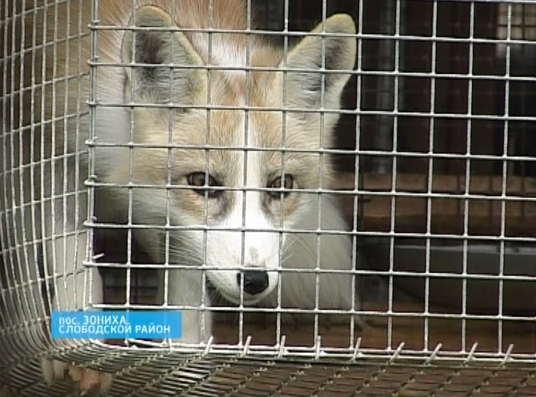 Зверохозяйство 