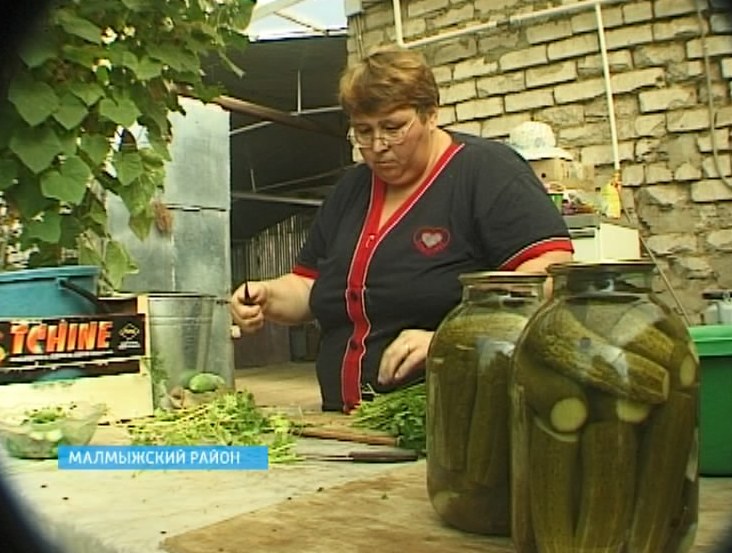 Занятость населения