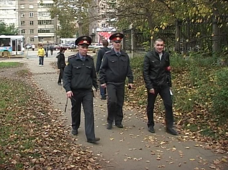 Добровольная народная дружина