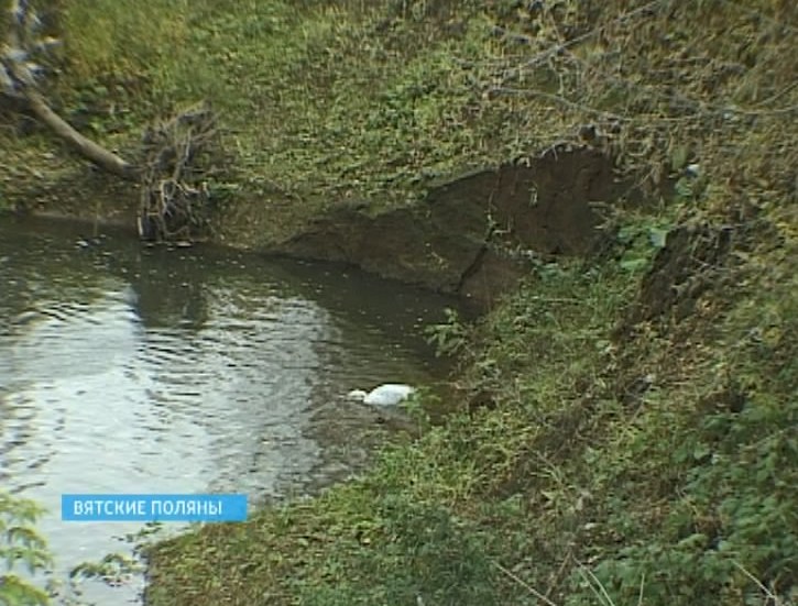 Река Тойменка