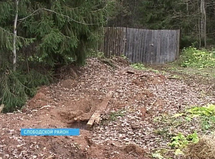 Трупы животных