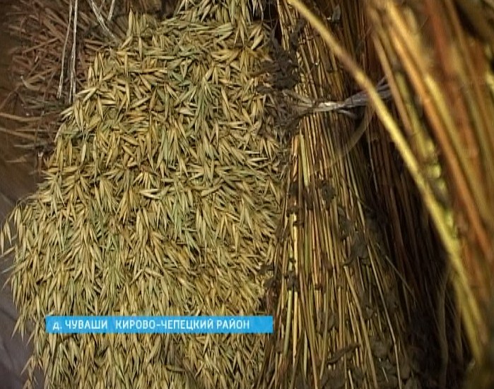 Сохранение семян