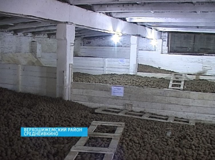 Контроль за хранением семенного картофеля