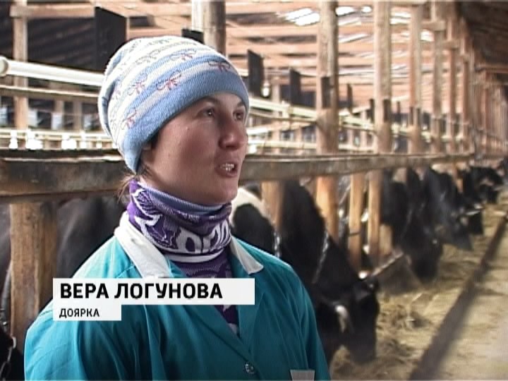 Работа дояркой с предоставлением жилья. Доярки на ферме. Доярки на ферме. Оператор машинного доения. Работа дояркой с предоставлением жилья.