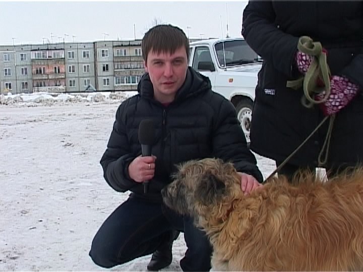 Вакцинация животных