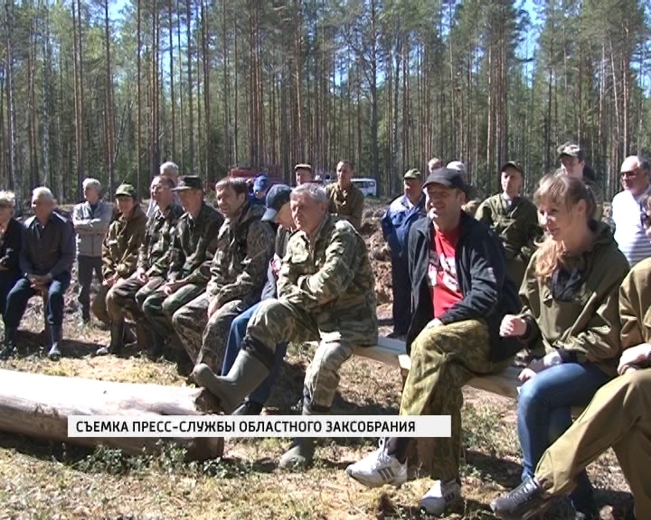 Депутаты садят лес