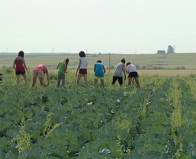 Трудоустройство