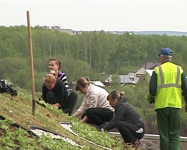 Цветники в городе
