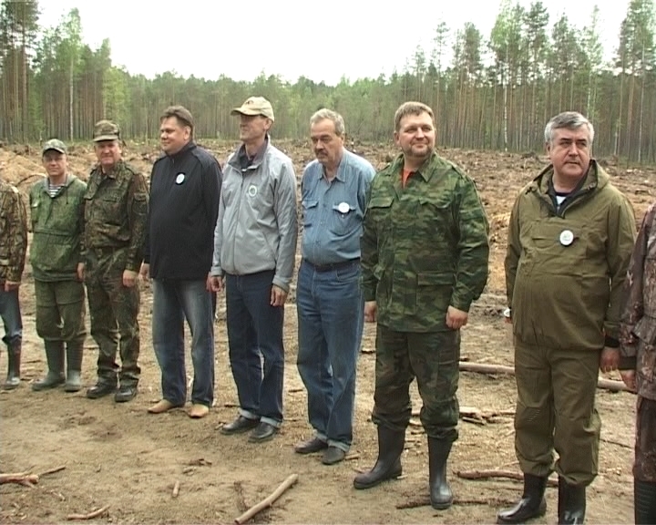 Лесопосадки