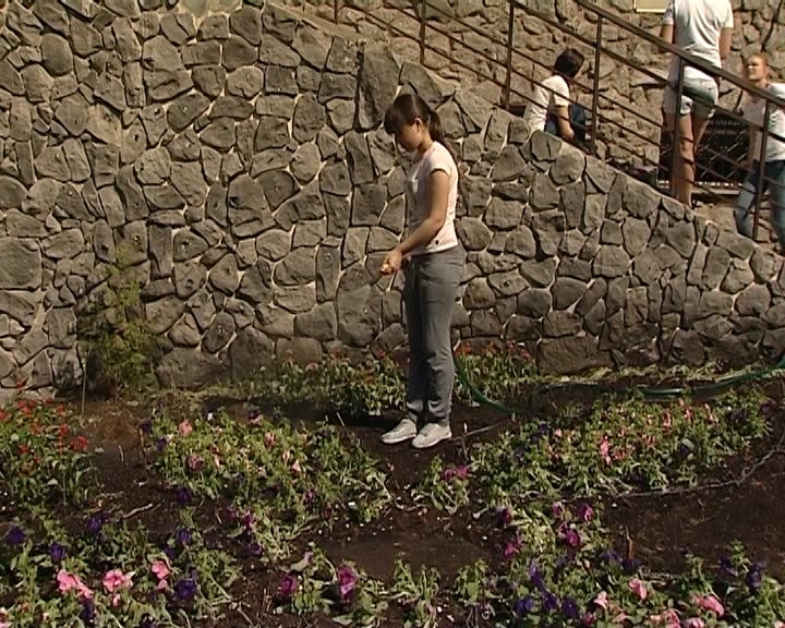 Сквер на улице Сурикова