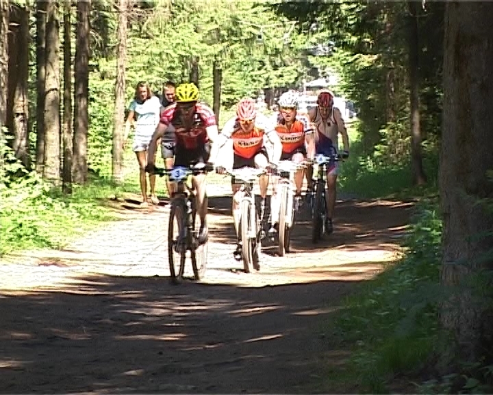 Кросс-кантри