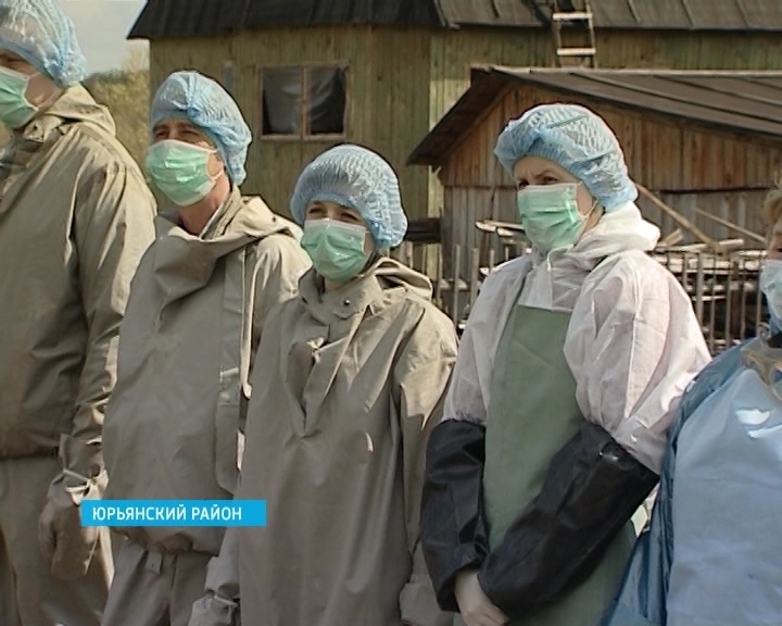 Африканская чума свиней