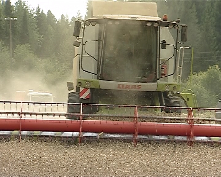 Сбор урожая