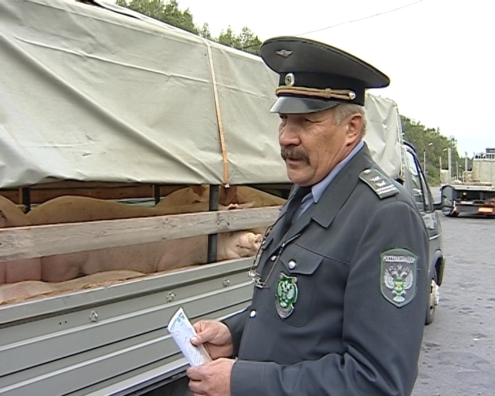 Ветеринарная полиция