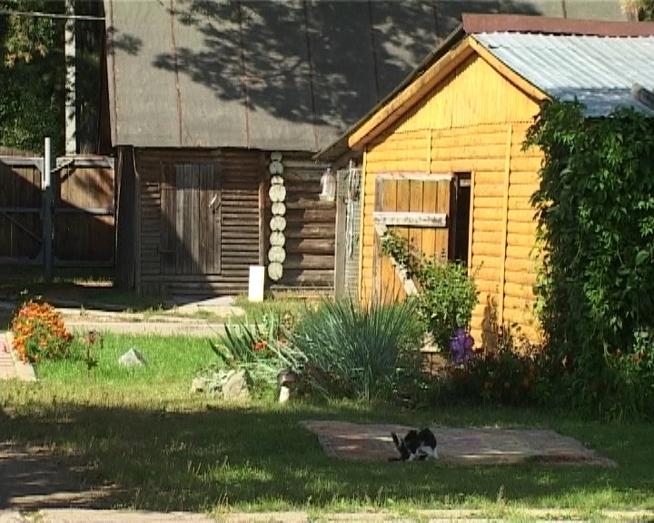 Несанкционированные свалки в Бахте