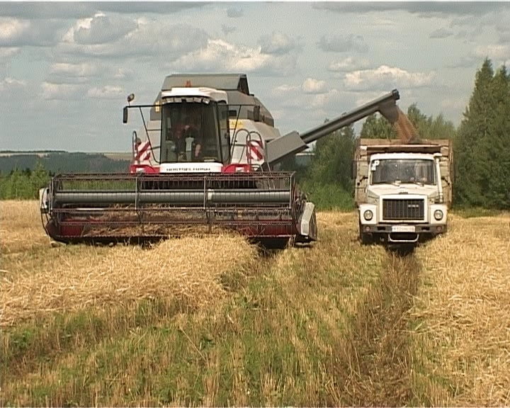 Котлячков о ходе уборки