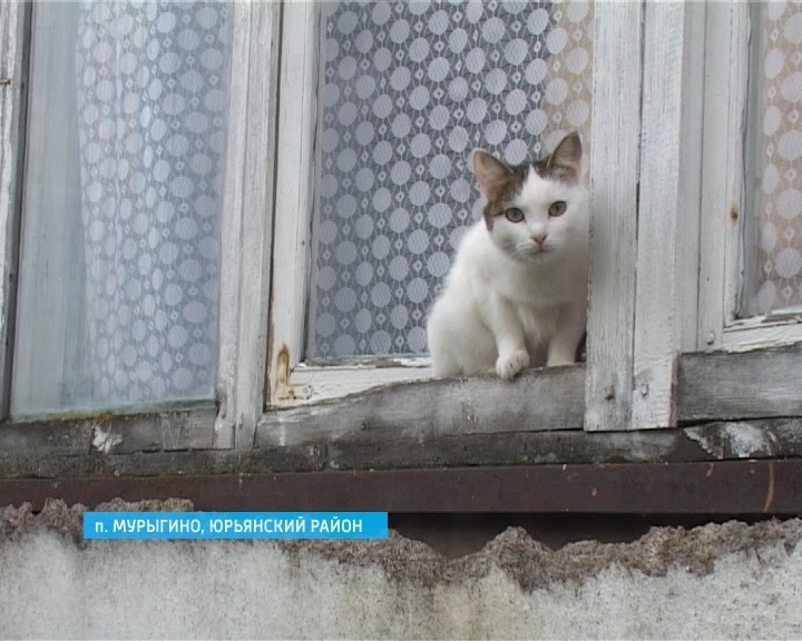 Отопление в Мурыгино