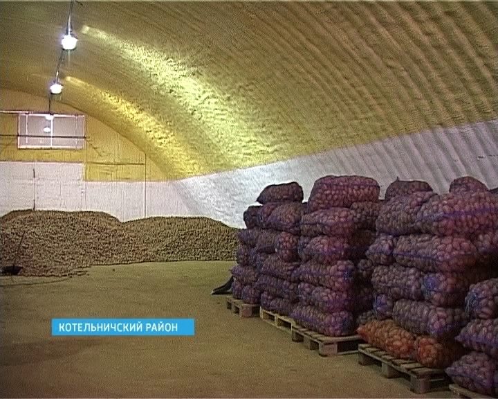 Хозяйство Савковых