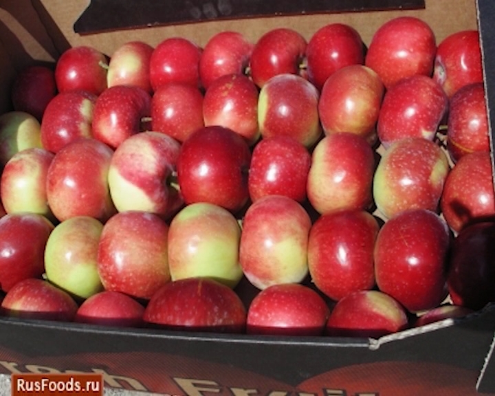 Делегация Россельхознадзора вернулась из Польши