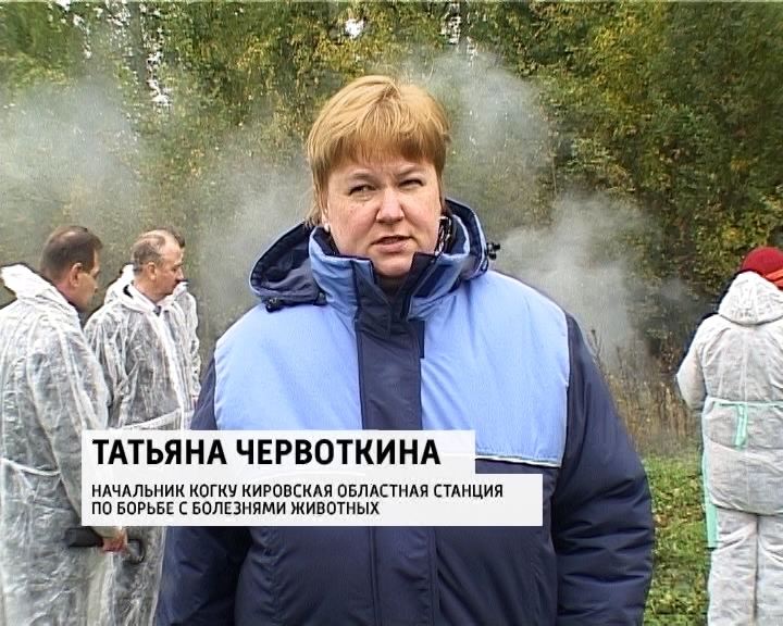 городская станция по борьбе с болезнями животных тюмень практика. областная по борьбе с болезнями животных. ветстанция белгород. начальник станции по борьбе с болезнями животных. московская станция по борьбе с болезнями животных.
