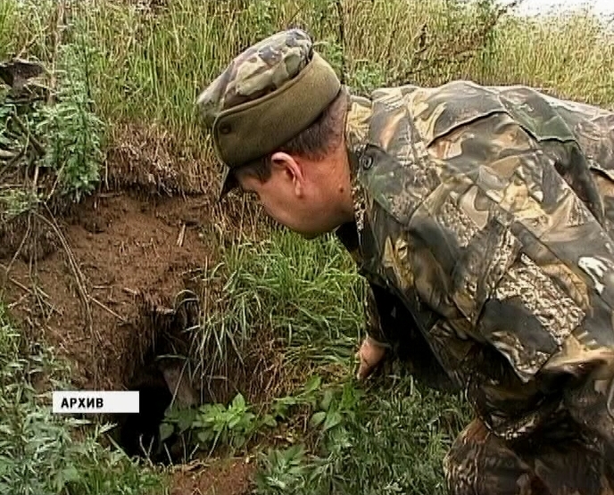 Ситуация с бешенством