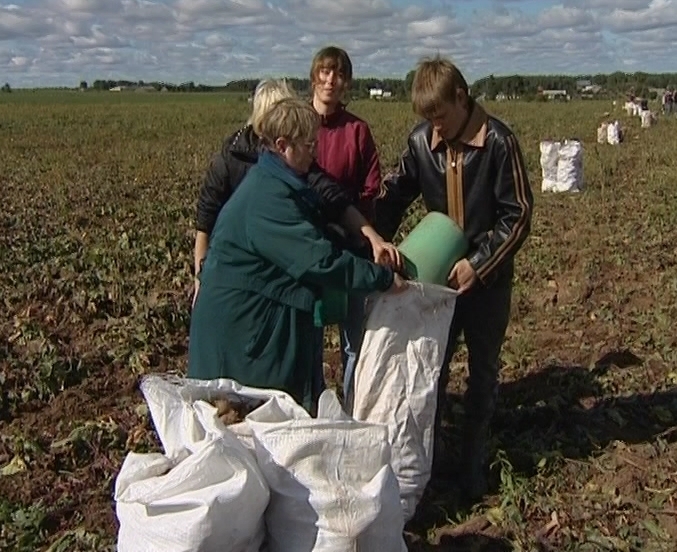 Итоги сельхозработ