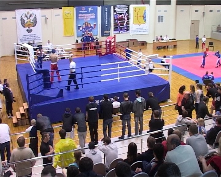 Кикбоксинг