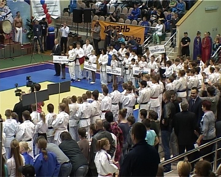 Звездочки дзюдо