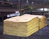 Программа Губерния о Подосиновском деревообрабатывающем заводе