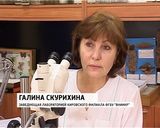 Специалисты Россельхознадзора пресекли попытку ввоза карантинных вредителей