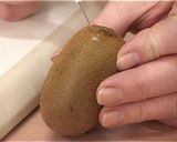 Специалисты Россельхознадзора пресекли попытку ввоза карантинных вредителей