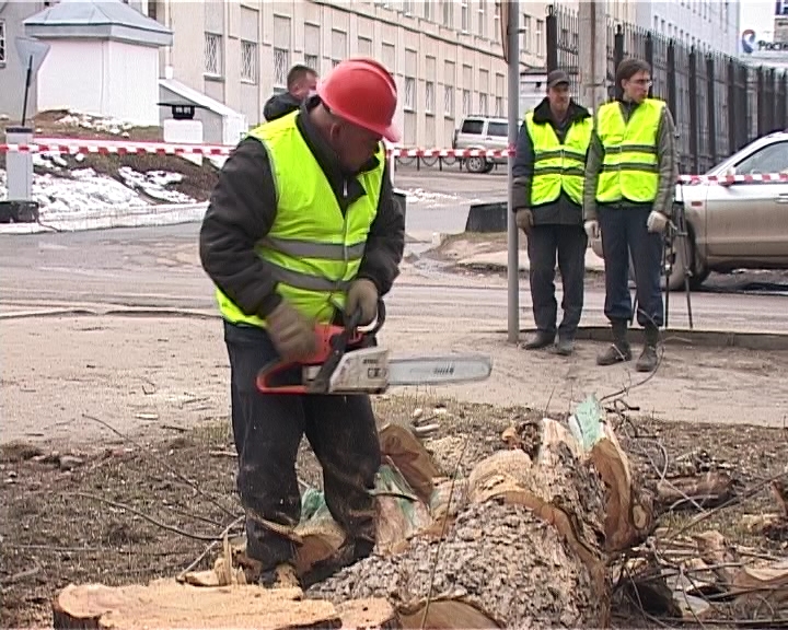Зеленые насаждения на территории областного центра