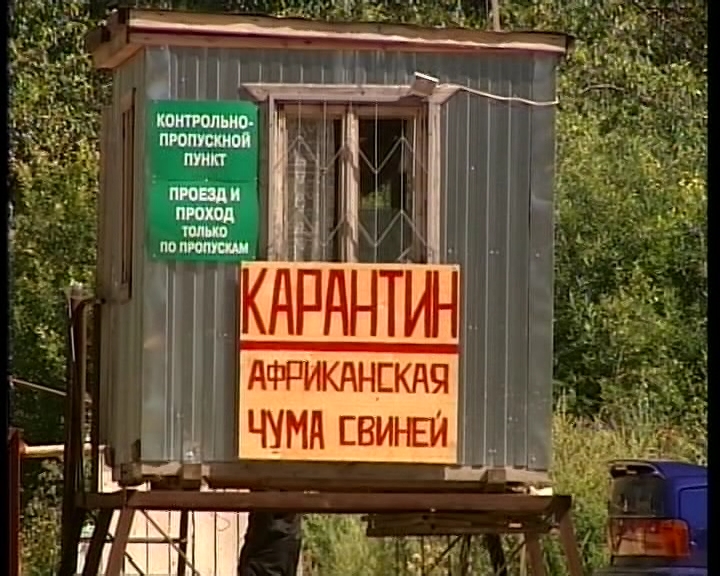 Вирус африканской чумы свиней