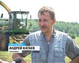 Заготовка кормов в Мухино