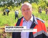 Сосны на месте крушения состава в Нововятске