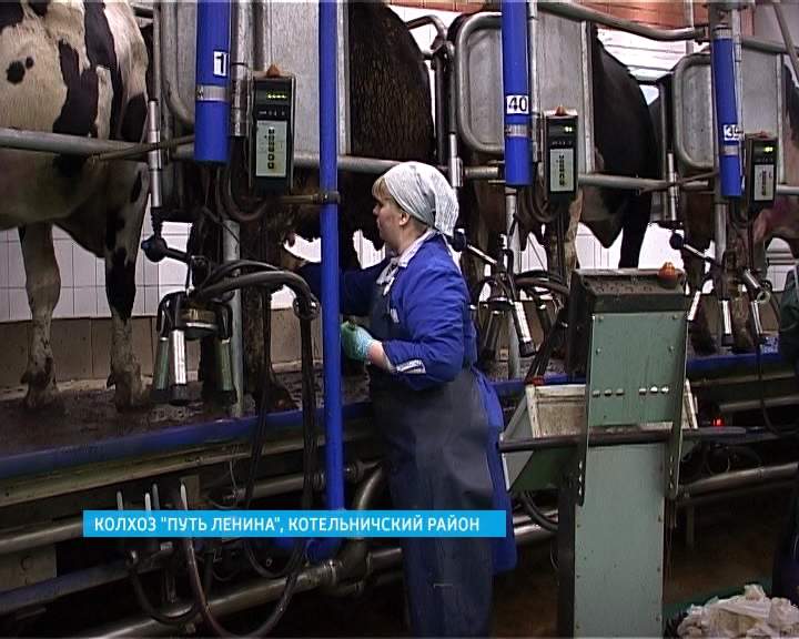 Мичуринский район путь ленина колхоз. Колхоз путь ленина шиткинского района иркутской области. Колхоз "путь к коммунизму" федоровское сизов. Механизация сельского хозяйства 30-е ссср. Колхоз верный путь нижегородская область.