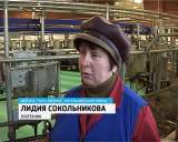 Беженцы из Луганской области получили работу в колхозе Путь Ленина Котельничского района