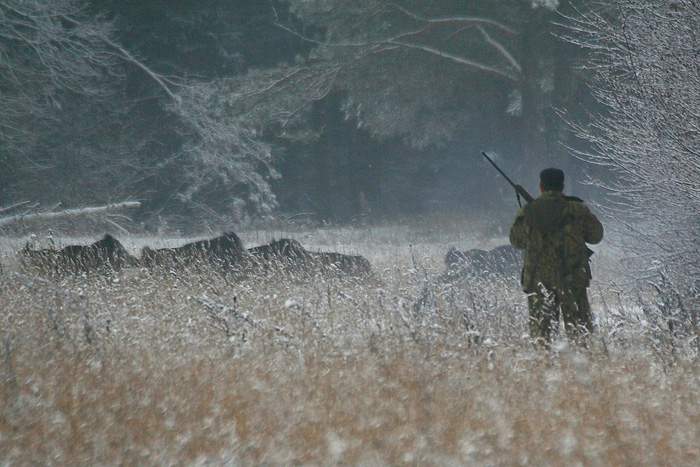 В Унинском районе охотник случайно подстрелил своего товарища.